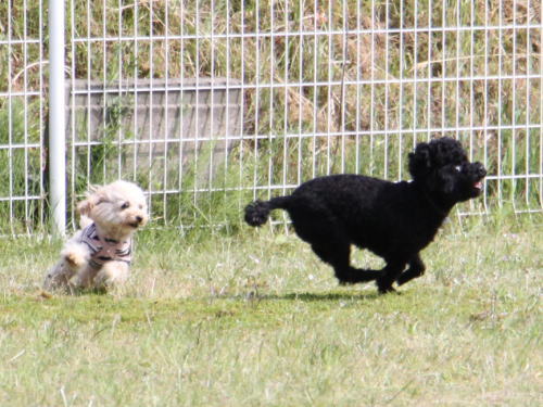 IMG_6808zoom.jpg