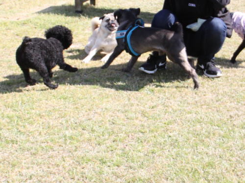 IMG_6820zoom.jpg