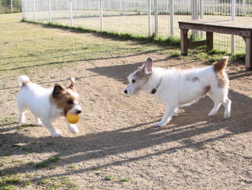 IMG_6857zoom.jpg