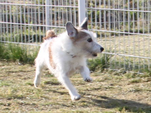 IMG_6864zoom.jpg