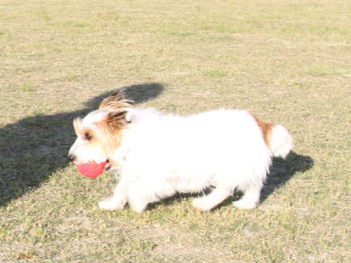IMG_6877zoom.jpg
