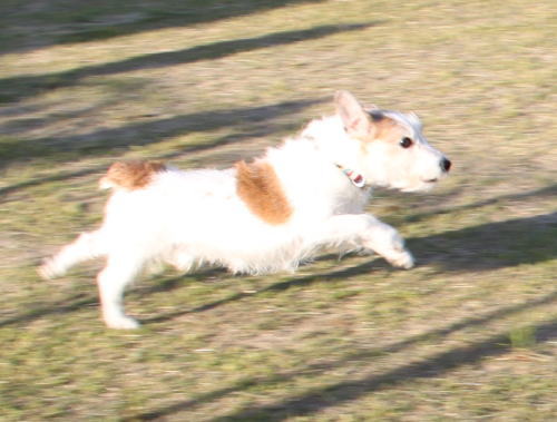 IMG_6887zoom.jpg