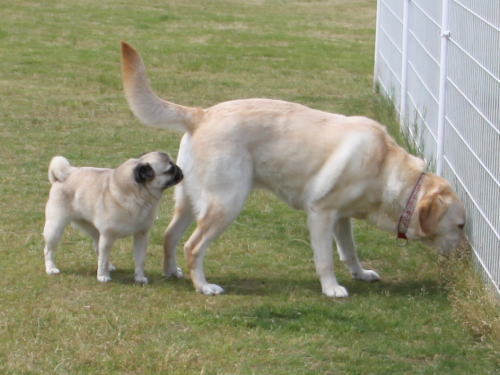 IMG_7966zoom.jpg