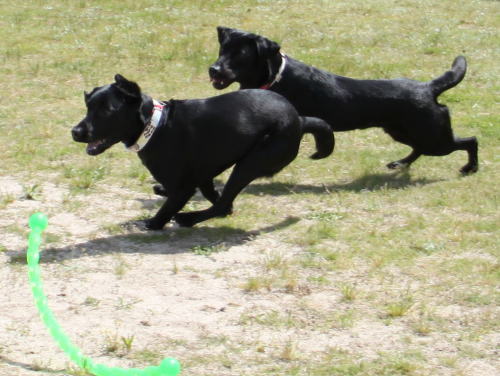 IMG_7997zoom.jpg