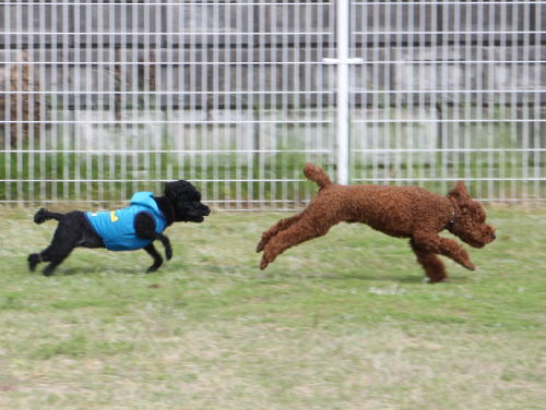 IMG_8051zoom.jpg