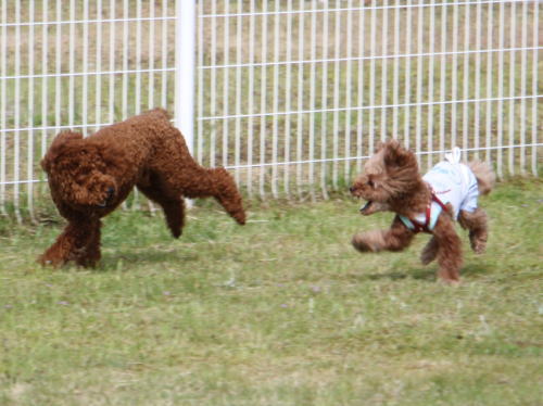IMG_8080zoom.jpg