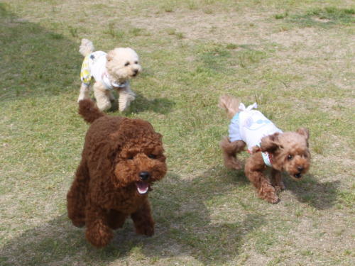 IMG_8083zoom.jpg
