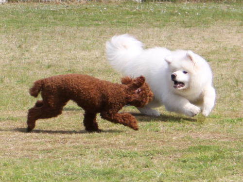 IMG_8084zoom.jpg