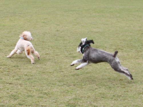 IMG_6762zoom.jpg