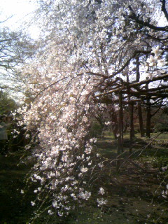 六義園