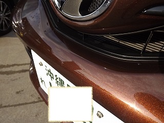 DSCF1173.jpg