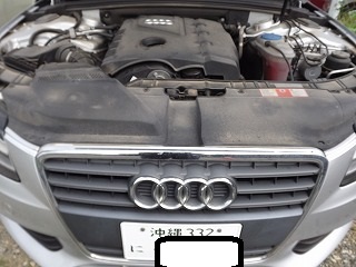 DSCF1188.jpg