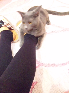 120624_194959.jpg
