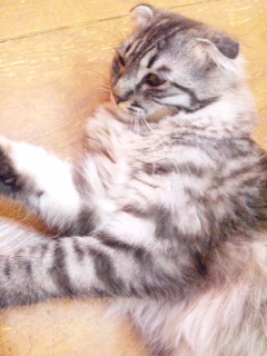 120624_193131.jpg