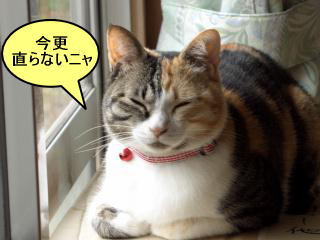 ミヤ吉に諭してもらいます。。。