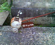 200710071415000.jpg