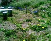 200904071231000.jpg