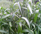 200904161728000.jpg