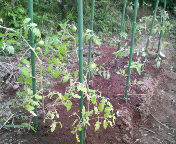 200906021719000.jpg