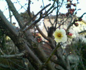 201002231652000.jpg
