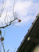 2010112823220000.jpg