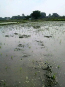 2011060802420000.jpg