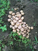 2011062719320000.jpg