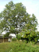 2011111418570000.jpg