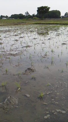 2012060416380000.jpg