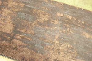 20110506_2.jpg