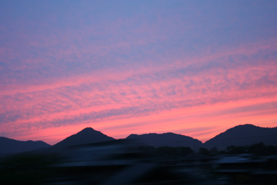 20110614_1.jpg