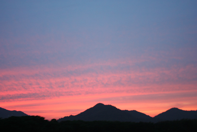 20110614_2.jpg