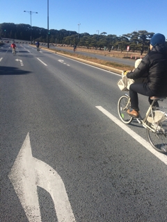 1月 パレスサイクリング おひさまと