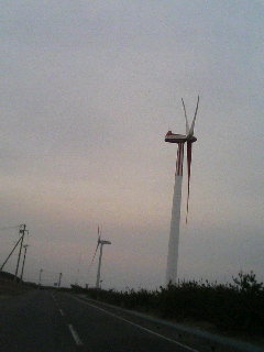 20070408_196300.JPG