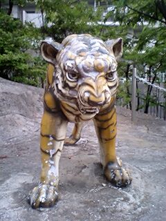20070504_212498.jpg