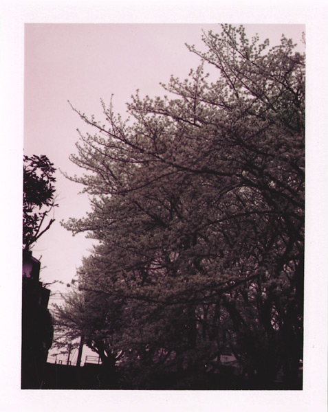 kumori