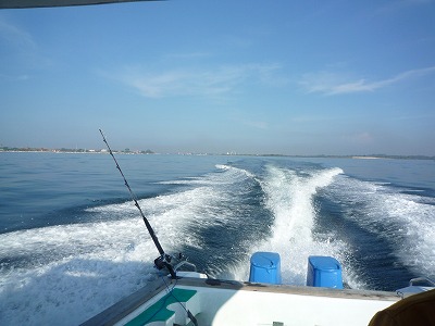バリ島53