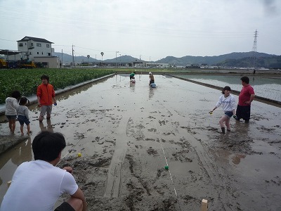 大地の恵み現地調査
