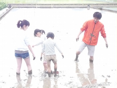 大地の恵み現地調査