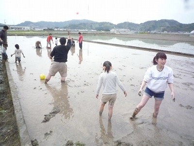 大地の恵み現地調査