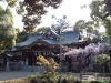 辛國神社 藤井寺市春日丘