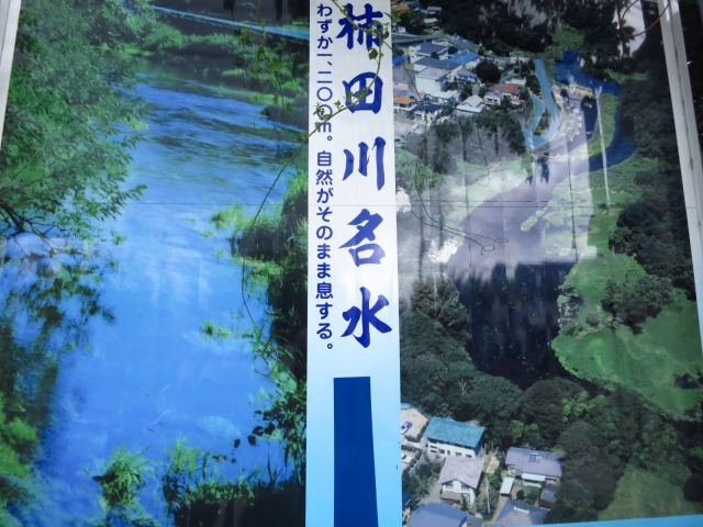 s_IMG_1999ファンクラブ旅行42.jpg