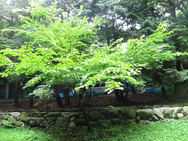 s_IMG_2007ファンクラブ旅行49.jpg
