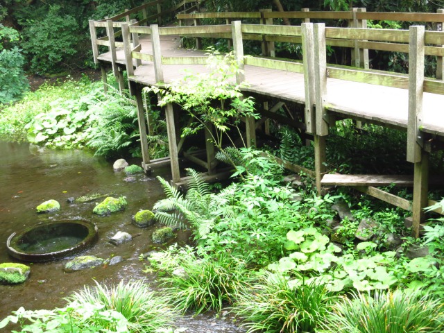 s_IMG_2011ファンクラブ旅行52.jpg