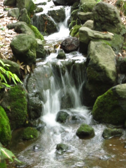 s_IMG_200ファンクラブ旅行50.jpg
