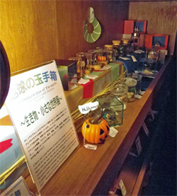 ミニ個展「生き物・小さな世界展」1