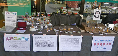 きのこ展2013展示