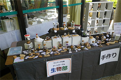 2014きのこ展1