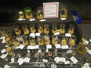 2014内分泌展示2