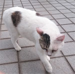所長さん